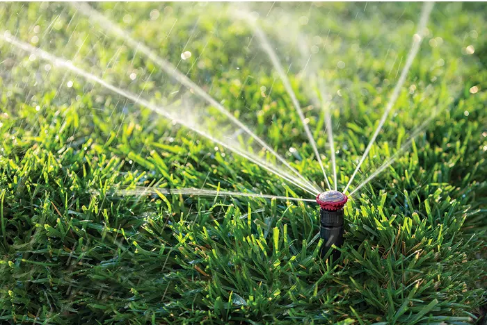 EE5E1DBD-A120-470B-968B-ABEA039E7665