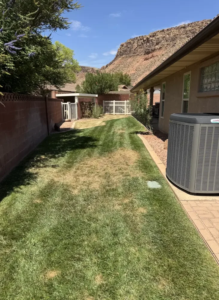 C41C2E2D-F177-42DF-A2AD-91EAF9B9205E